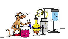 Experimento-04.gif