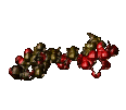 Moleculas-11.gif