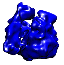 Ribosoma-02.gif