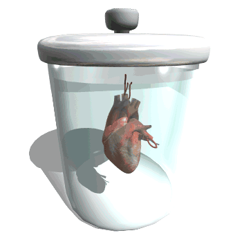 Util-de-laboratorio-23.gif