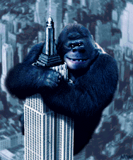 Cine-18.gif