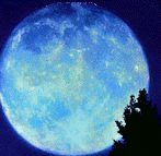 Cine-20.gif