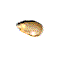 Palomitas-de-maiz-07.gif