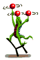 Animal-circense-02.gif