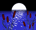 Clima-14.gif