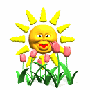 Sol-29.gif