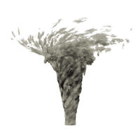 Tornado-16.gif