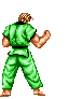 Artes-Marciales-13.gif