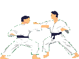 Artes-Marciales-16.gif
