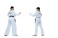 Artes-Marciales-23.gif