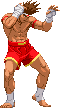 Artes-Marciales-26.gif