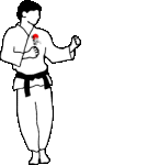 Artes-Marciales-27.gif