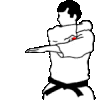 Artes-Marciales-30.gif