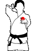 Artes-Marciales-32.gif