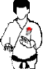 Artes-Marciales-37.gif