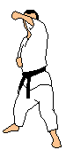 Artes-Marciales-38.gif