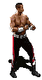 Artes-Marciales-49.gif