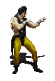 Artes-Marciales-52.gif