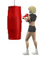 Boxeo-04.gif