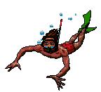 Esnorquel-03.gif
