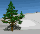 Esqui-16.gif