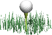 Golf-05.gif