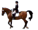 Hipica-12.gif