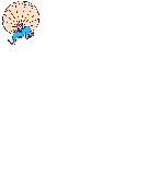 Paracaidismo-05.gif
