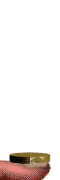 Moneda-29.gif