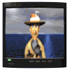 televisor-33.gif