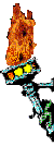 Antorcha-13.gif