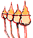 Fuego-17.gif