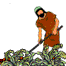 Jardin-09.gif