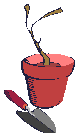 Jardin-10.gif