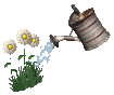 Jardin-17.gif