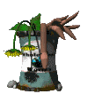 Jardin-20.gif