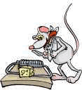 Ratonera-02.gif