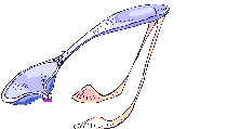 Utensilio-de-cocina-11.gif