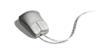 raton02.gif