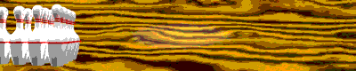 bolos-06.gif
