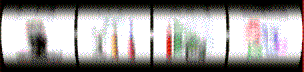tragaperras-02.gif