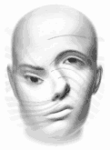 Cabeza-07.gif