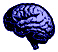 Cerebro-04.gif