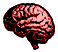 Cerebro-06.gif