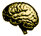 Cerebro-07.gif