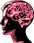 Cerebro-09.gif