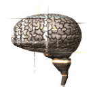 Cerebro-22.gif