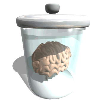 Cerebro-27.gif