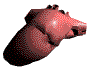 Corazon-02.gif