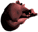Corazon-05.gif